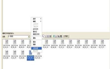 远程文件管理